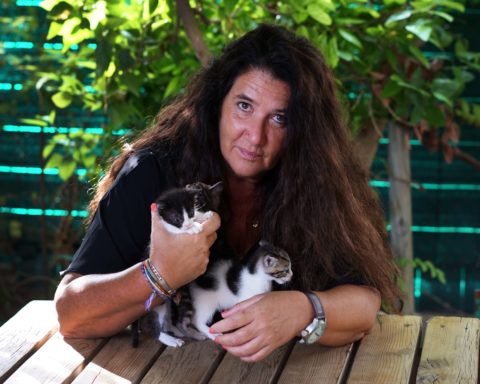 Amparo Requena
